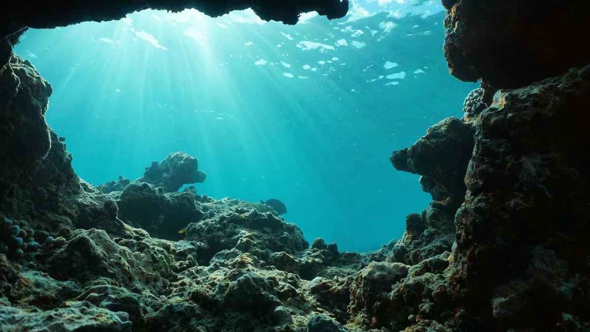 Meeresbild vom Meeresboden Richtung Oberfläche