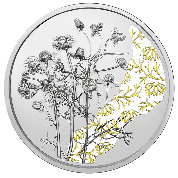 2023_10E_The_Chamomile_Ag_PP_RS