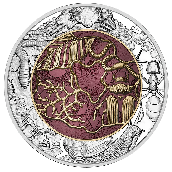 2024_25E_Edaphon_Ag_RS