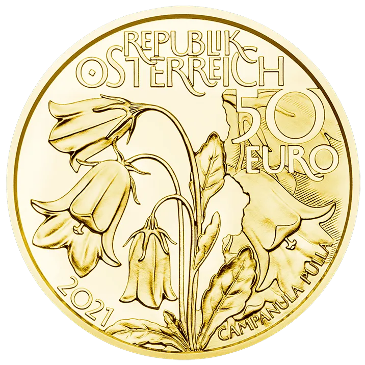 alpine treasures - alpine forests