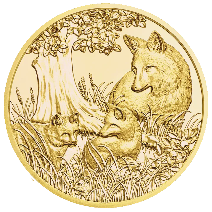 Gold Coin Fox
