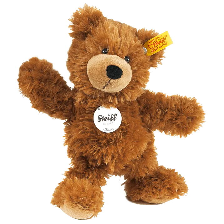 Charly the teddy bear