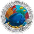 3 euro coin The blue doctorfish