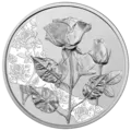 10 Euro Silbermünze Die Rose
